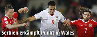 Torschütze Aleksandar Mitrovic (SRB)