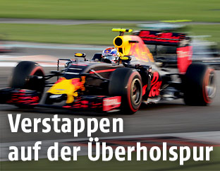Max Verstappen (Red Bull Racing) beim Grand Prix of Abu Dhabi
