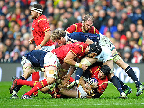 Rugbymatch Schottland gegen Wales