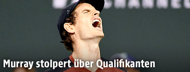 Andy Murray