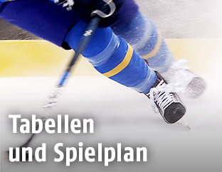 Eishockeyspieler