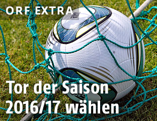 Ball im Netz