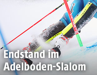 Skirennläufer