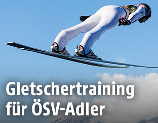 Skispringer