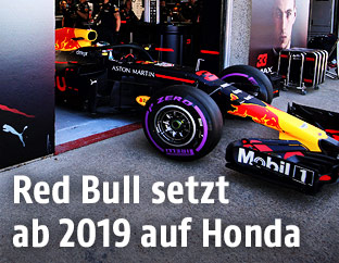 Red-Bull-Bolide aus der Box